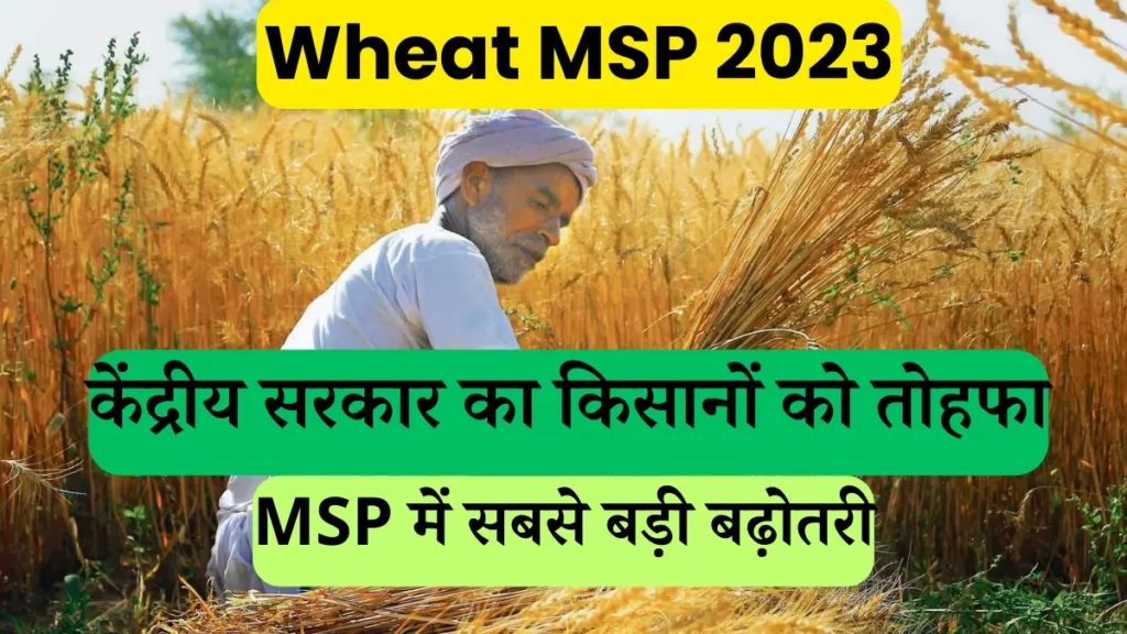 wheat-msp-2023-central-governments-gift-to-farmers-on-navratri-biggest-increase-in-msp-know-what-is-the-wheat-price-in-punjab-2023